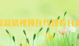 日本暖暖视频,时尚穿搭的视觉盛宴