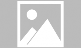 91y直播叫什么用,揭秘热门直播平台的魅力所在